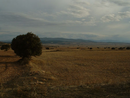 05-02-24 DSCF0102 Caravaca Umgebung