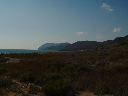 05-02-26 DSCF0158 Calblanque