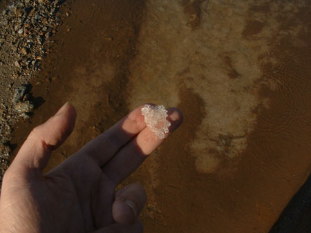 05-02-26 DSCF0170 Calblanque