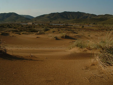 05-02-26 DSCF0184 Calblanque