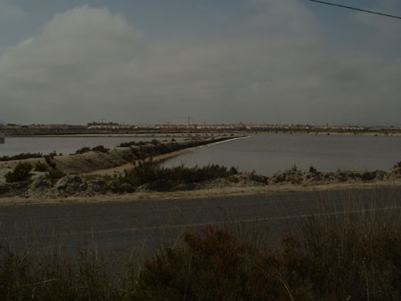 05-03-25 DSCF0073 San Pedro del Pinatar